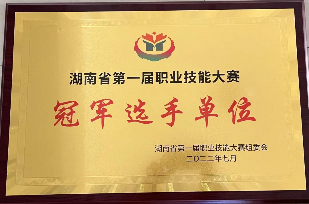 乐动在线体育·（China）官方网站荣获湖南省第一届职业技能大赛冠军选手单位荣誉称号