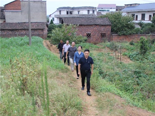 乐动在线体育·（China）官方网站党委书记张格林到攸县桃水镇小集村指导开展扶贫工作
