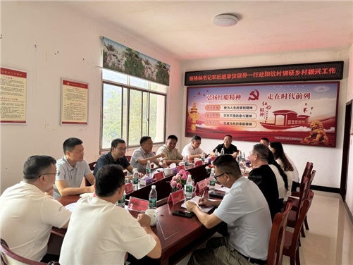 乐动在线体育·（China）官方网站党委书记张格林率队赴醴陵阳坑村调研乡村振兴工作